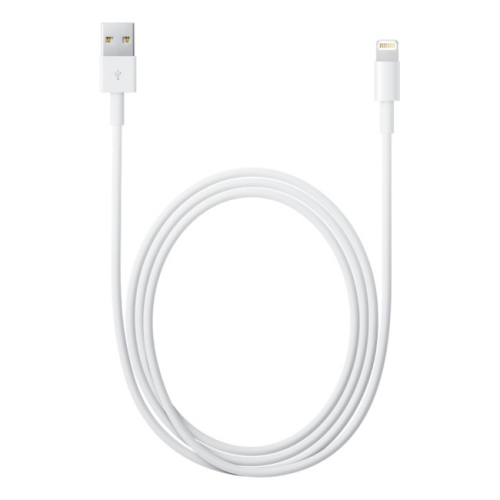 Apple Lightning auf USB Kabel, 100cm (MD818ZM/A) fr Apple iPad 9 (2021 - Modelle A2602, A2604)